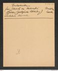 k.k. naturhistorisches Hofmuseum, Intendanzakten 1885-1896 (Hauer), Aktenzahl Z.247/1891, Seite 1